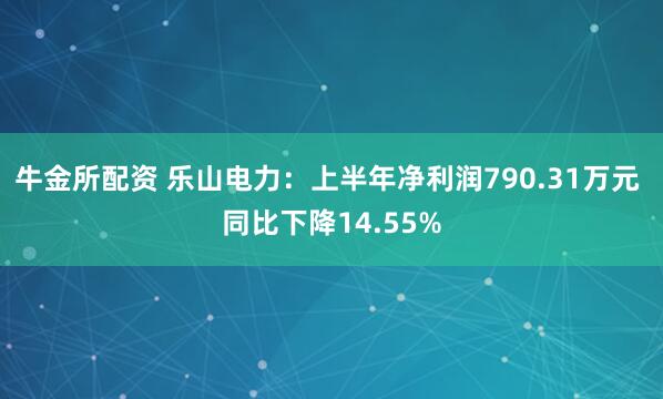 牛金所配资 乐山电力：上半年净利润790.31万元 同比下降14.55%