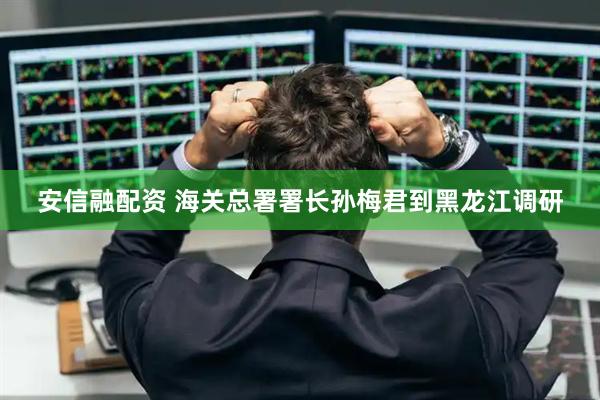 安信融配资 海关总署署长孙梅君到黑龙江调研